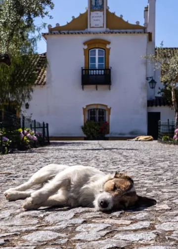 A Quieting of the soul at Quinta da Sagrada Família