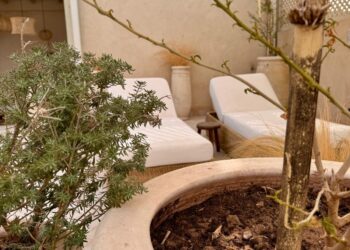 Riad Layl: A family story hidden in the heart of marrakech