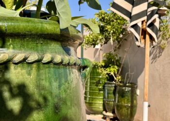 Riad Botânica – There are places that immediately slow your pace
