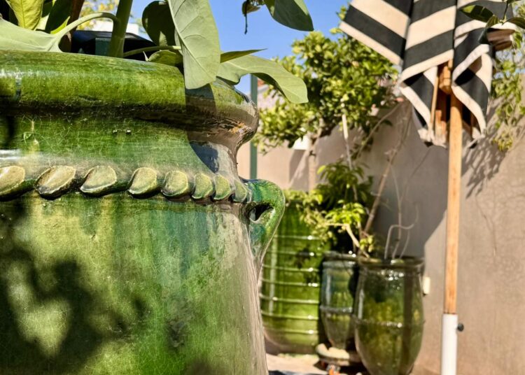 Riad Botânica – There are places that immediately slow your pace